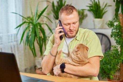 Volání na pohotovost