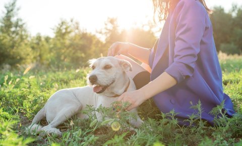 Otravy a domácí nebezpečí – prevence a první kroky