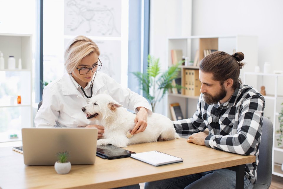 Jak připravit psa nebo kočku na návštěvu veterináře